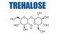 สารเติมแต่งอาหาร D Trehalose Dihydrate Cas No 6138-23-4